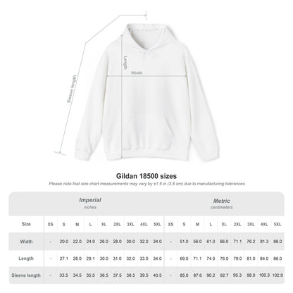 Y2K Retro Hoodie – "Back to the 00s"